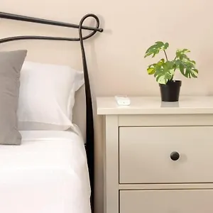 Testaccio Experience Apartamento
